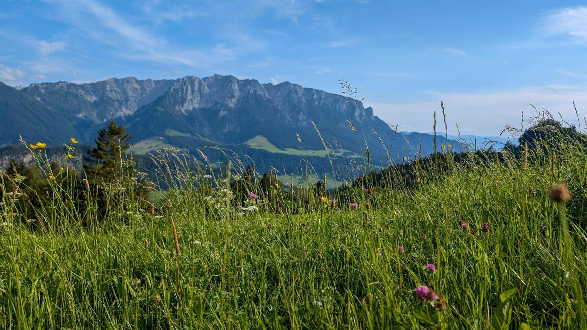 Bergapart Goetschl Rettenschoess Exterior foto